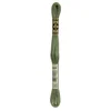 Image de DMC Borduurgaren-3363 Groen