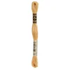 Image de DMC Mouline Special Borduurgaren 3827