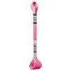 Image de DMC S899 Mouliné Satin borduurgaren