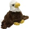 Image de Wild Republic Pluche Amerikaanse zeearend - vogel knuffel - 18 cm - vogel knuffeldier