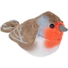 Image de Vogel met geluid roodborstje