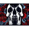 Image de Deftones - Vinyl