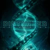 Image de Evolution (LP)