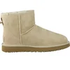 Image de UGG Classic Mini II Boot - Women's - Sand - Maat EU 39