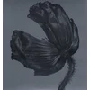 Image de Release (Remastered LP)