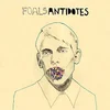 Image de Foals - Antidotes (LP)