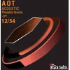 Image de BlackSmith APB-1254 Nano-Carbon Coated Phosphor Bronze Akoestische Gitaarsnaren (12-54)