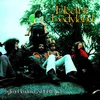 Image de Electric Ladyland