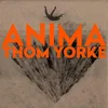 Image de Anima (LP)