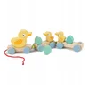 Image de Tender Leaf Preschool: TREKFIGUUR EENDJES 43,5x6,2x10,8cm, met afneembare  moedereend, 2 babyeenden en 3 eieren, in hout, in doos 11,5x8x37,6cm, 18m+