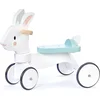 Image de Tender Leaf Toys Loopfiets - Loopfiets