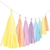 Image de Amscan Tasselslinger 3 Meter Papier Pastel Regenboog