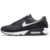 Image de Nike Air Max 90 Heren Sneakers - Iron Grey/White-Dk Smoke Grey-Black - Maat 41