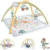 Image de Fisher-Price Simply Senses gym voor baby's - Babygym - Met speelspeelkleed
