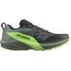 Image de Salomon Sense Ride 5 Trailrunningschoenen Groen,Zwart EU 44 2/3 Man