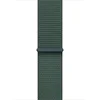Image de Apple Watch 42mm Lake Green Sport Loop
