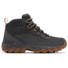 Image de Columbia NEWTON RIDGE  PLUS II SUEDE WP Heren Wandelschoenen - Dark Grey, Gold Amber