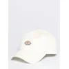 Image de Sportcap Dickies Hardwick Cloud (Één maat)