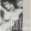 Image de Wild Orchids
