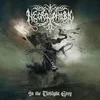 Image de Necrophobic - In the Twilight Grey (LP)