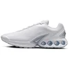 Image de Nike Air Max Dn 'White Metallic Silver' - Maat 46
