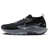 Image de Nike Pegasus Trail 5 GTX GORE-TEX - Heren Trail-Running Schoenen Zwart FQ0908-001 , Maat: EU 44.5 US 10.5