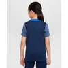 Image de Nike Paris Saint-Germain Strike Shirt Junior - Maat 152