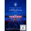 Image de Summer Night Concert 2024