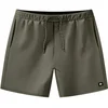 Image de Vans Primary Ii Elastic Zwembroek Groen L Man