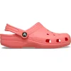 Image de Crocs - Classic Clogs Guava - Maat 42-43
