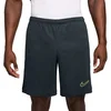 Image de Nike academy dri-fit voetbalshort in de kleur groen.