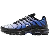Image de Nike Nike Air Max Plus/TN Herenschoenen Maat 44.5