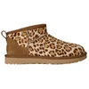 Image de UGG Classic Ultra Mini Boots Dames Bruin