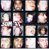 Image de Sum 41 - All Killer No Filler (LP)