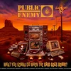 Image de What You Gonna Do When the Grid Goes Down? (LP)