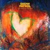 Image de Snow Patrol - The Forest Is The Path (2 LP)