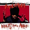 Image de Redman - Whut? Thee Album (LP) (Coloured Vinyl)