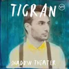 Image de Tigran Hamasyan - Shadow Theater (2 LP) (Limited Edition)