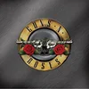 Image de Guns N' Roses - Greatest Hits (2 LP)