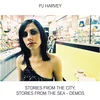 Image de PJ Harvey - Stories From The City, Stories From The Sea - Demos (LP)
