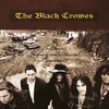 Image de The Black Crowes - The southern harmony and musical companion (2 LP)