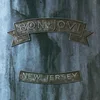Image de Bon Jovi - New Jersey (2 LP)