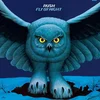 Image de Fly By Night