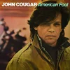 Image de American Fool