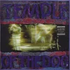 Image de Temple Of The Dog