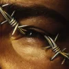Image de Post Malone - Beerbongs & Bentleys (2 LP)