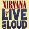 Image de Nirvana - Live And Loud (2 LP)
