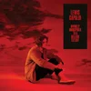 Image de Lewis Capaldi - Divinely Uninspired To A Hellish Extent (LP)