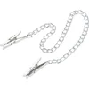 Image de Pipedream Fetish Fantasy tepelklem Nipple Chain Clips zilver