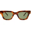 Image de I-SEA BANKS Zonnebril Polarized Tort - Green